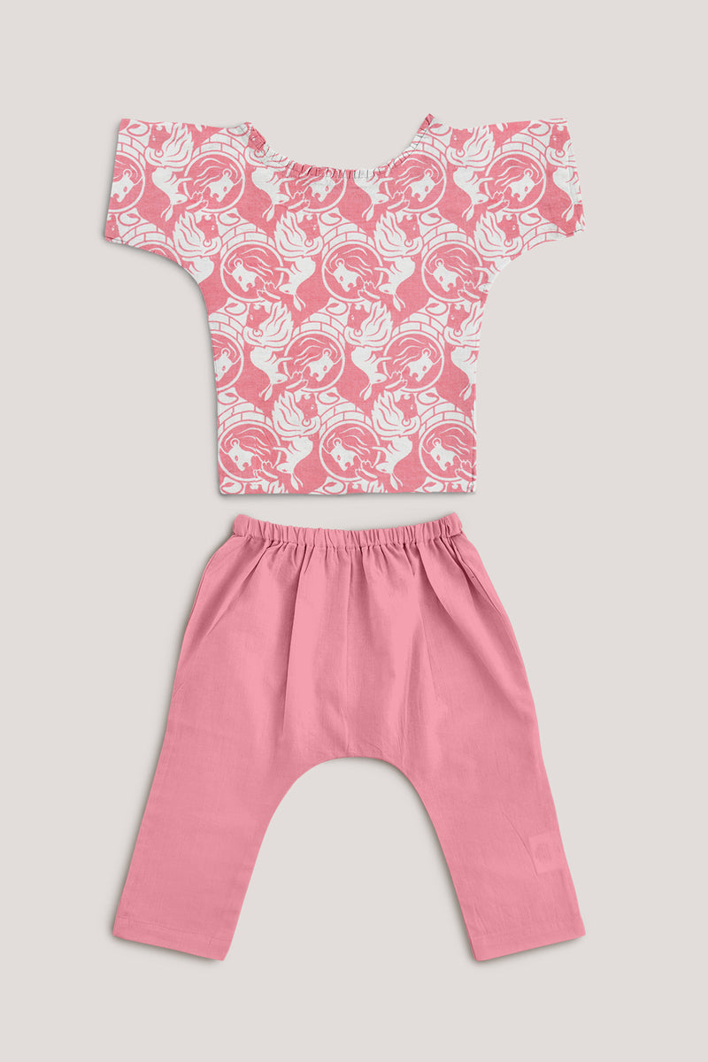 The Foolish Lion & Clever Rabbit, Jhabla Set