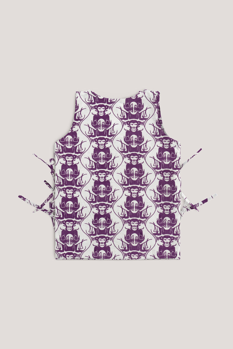 Two Foolish Cats & The Clever Monkey, Jhabla