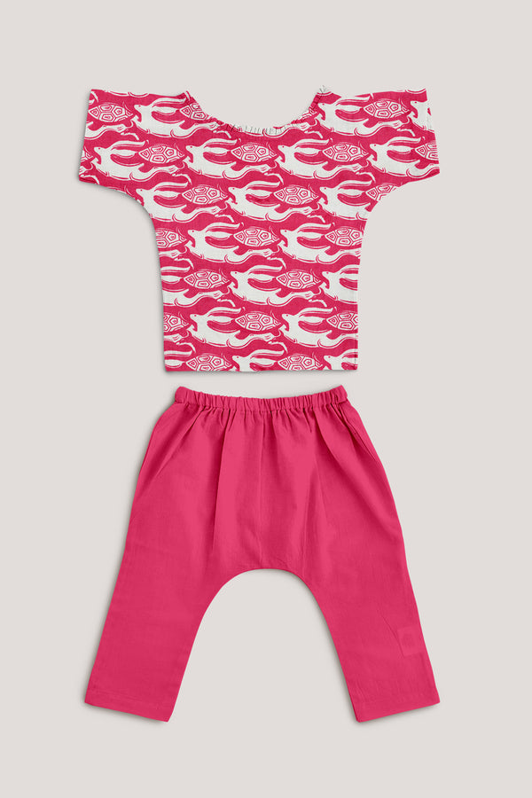 The Hare & The Tortoise, Jhabla Set