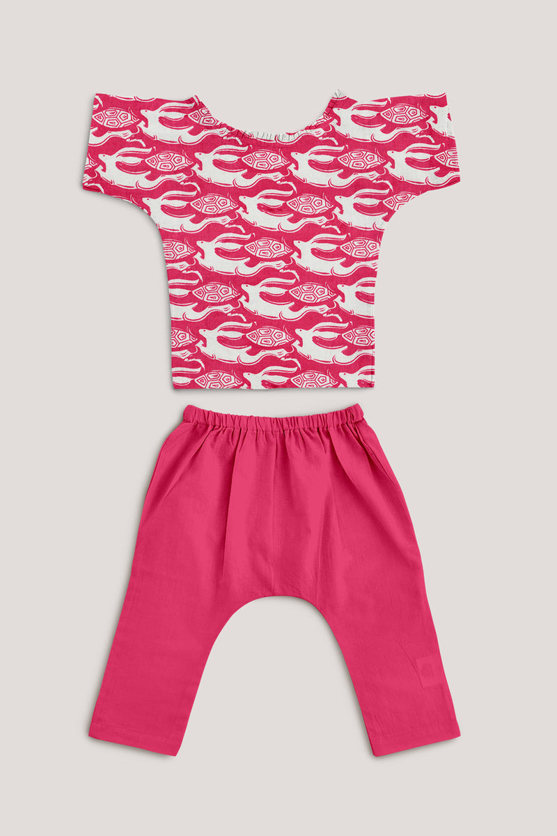 The Hare & The Tortoise, Jhabla Set