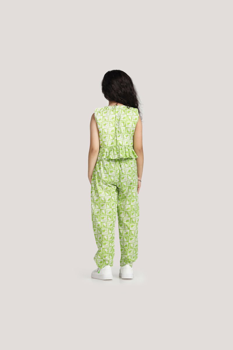 The Monkey & The Crocodile - Crop Top Set
