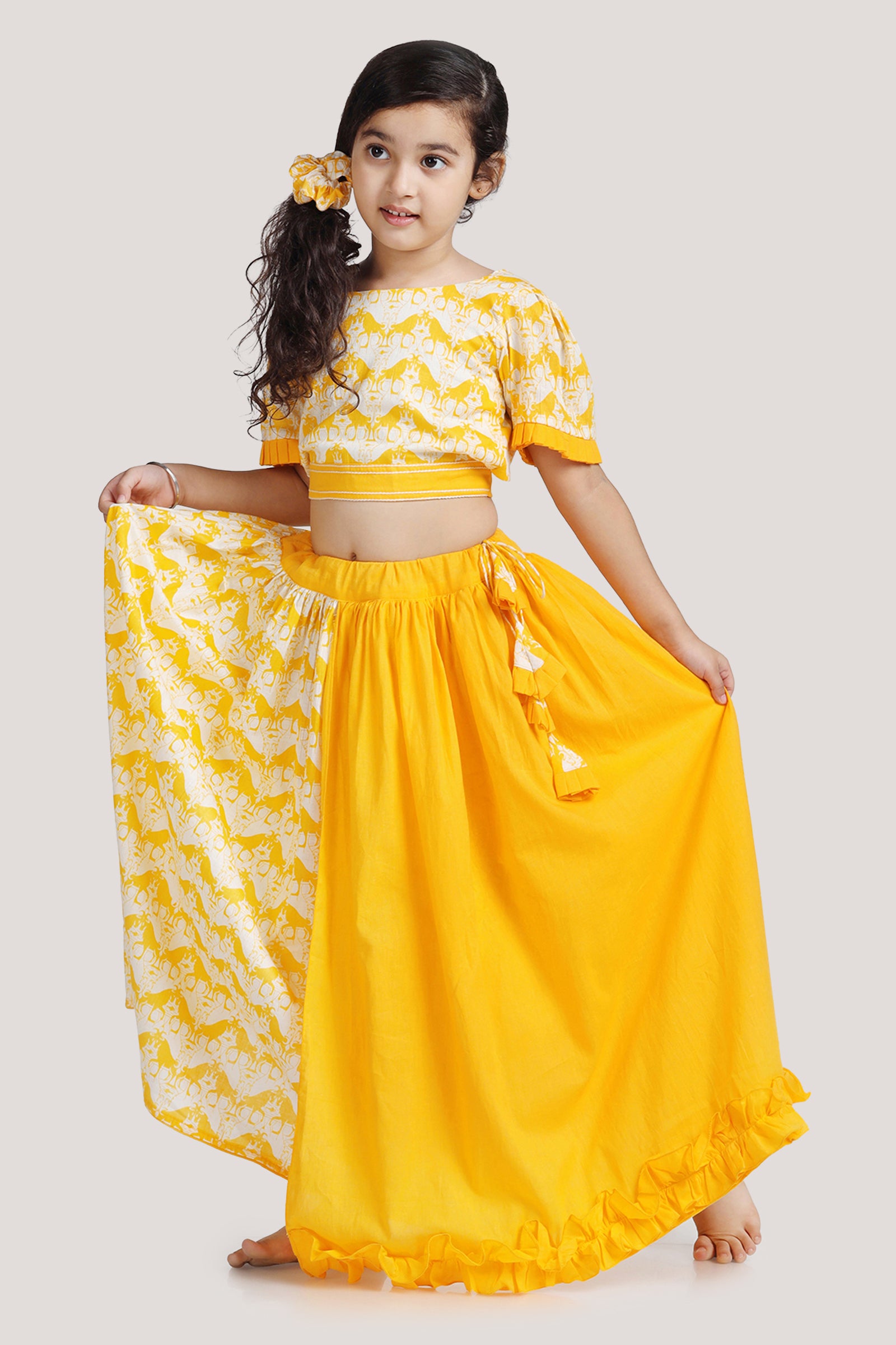 Two Silly Goats - Half & Half Layered Lehenga Set