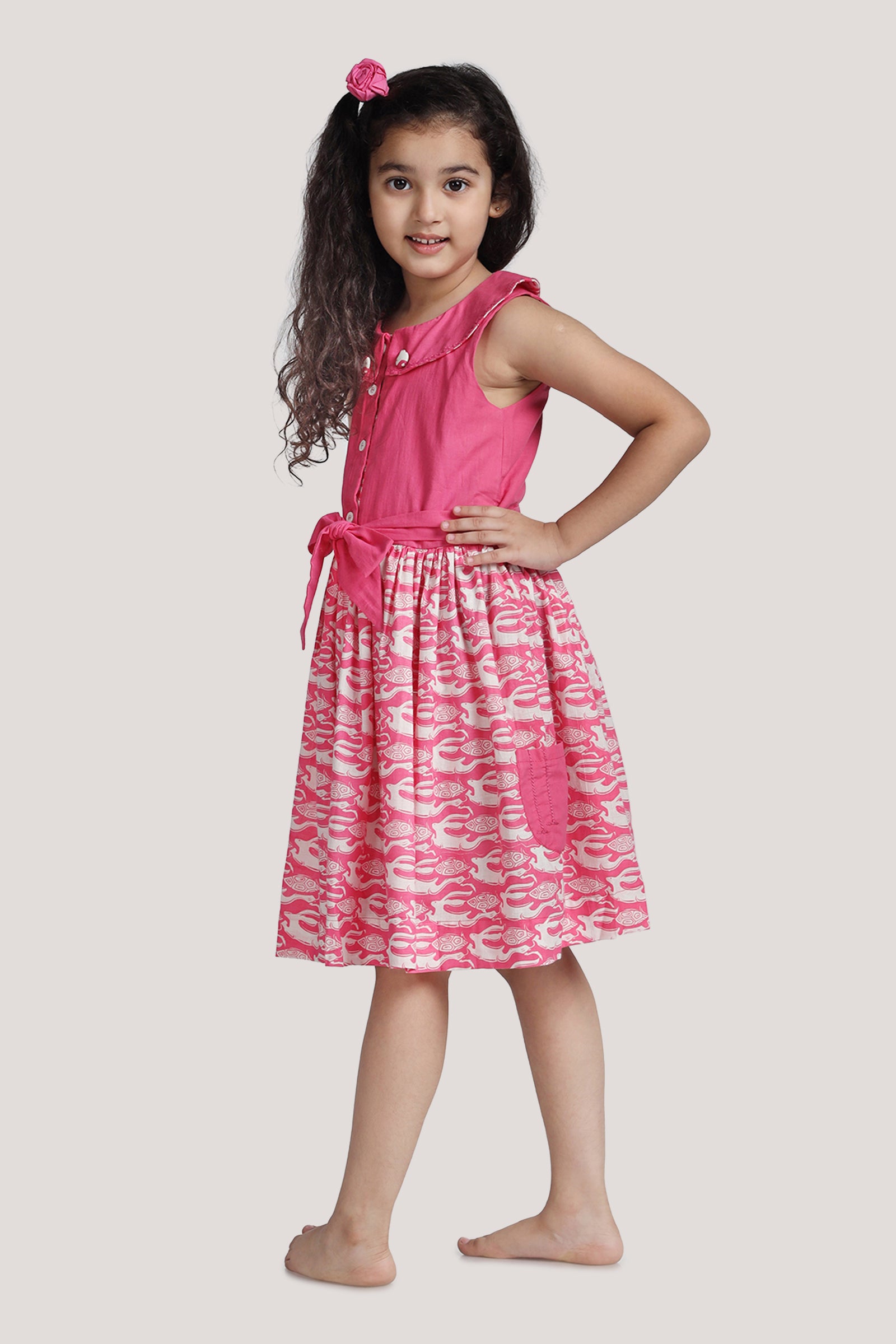 The Hare & The Tortoise - Roll Collar Frock