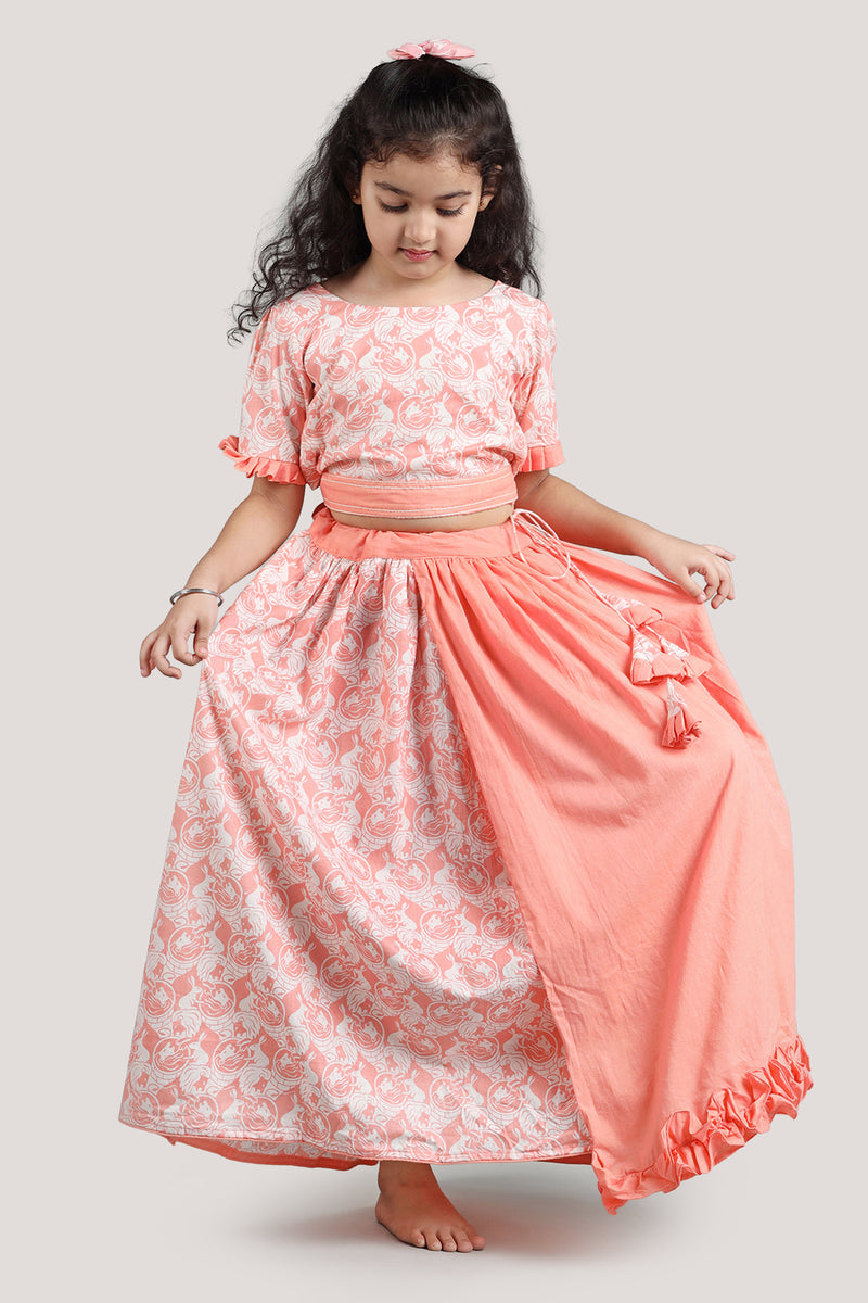 The Foolish Lion & The Clever Rabbit- Half & Half Layered Lehenga Set