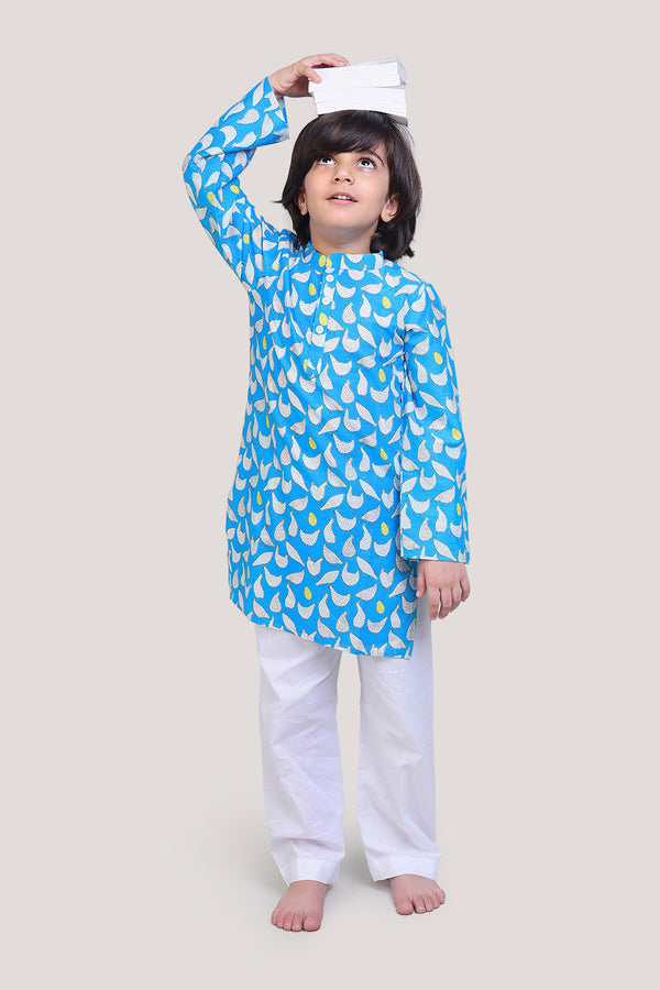 Hen That Laid The Golden Eggs- Boys Kurta Pajama Set