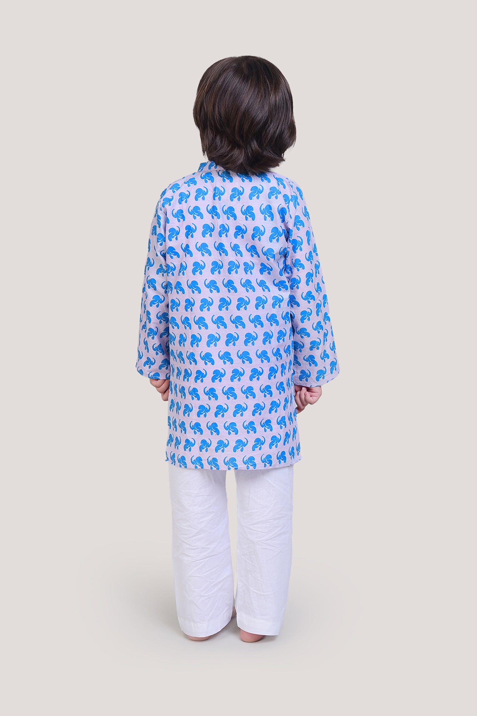 The Elephant & The Barking Dog- Boys Kurta Pajama Set